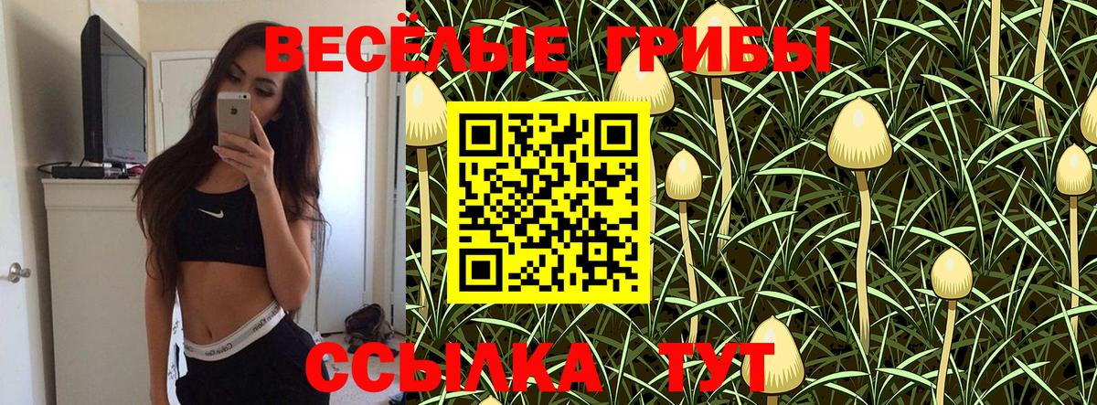 Псилоцибиновые грибы Psilocybine cubensis  Галлюциногенные грибы ЛСД  Вход с VPN  Лысьва 